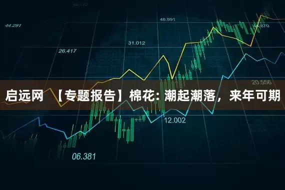启远网  【专题报告】棉花: 潮起潮落，来年可期