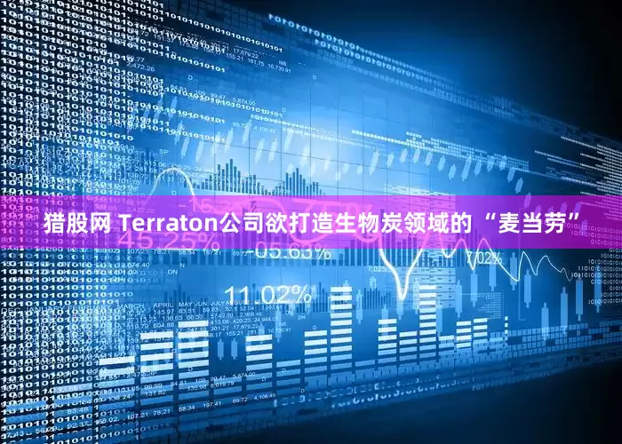 猎股网 Terraton公司欲打造生物炭领域的 “麦当劳”