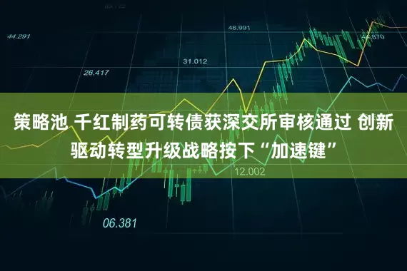 策略池 千红制药可转债获深交所审核通过 创新驱动转型升级战略按下“加速键”